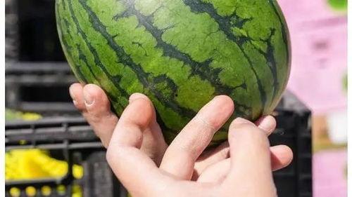 瓜老师,开启人生新篇章